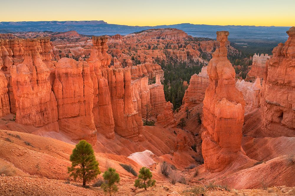 Thors Hammer and colorful hoodoos at Sunrise Point-Bryce Canyon NP-Utah art print by Alan Majchrowicz for $57.95 CAD